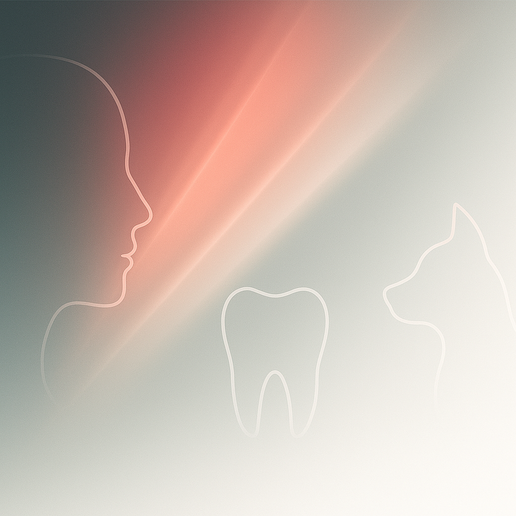 Aplicaciones profesionales Quantum